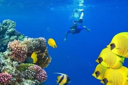 Sharm El Sheikh Turu Türk Havayolları İle 3 Gece 5 Gün