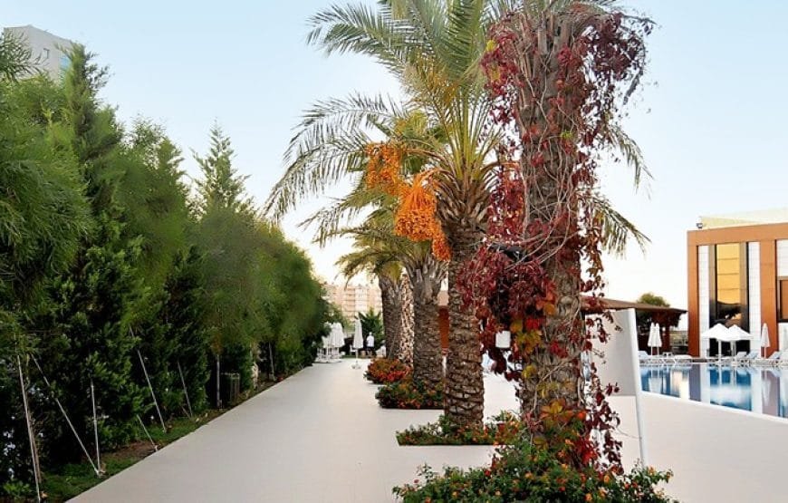 Saturn Palace Resort Hotel